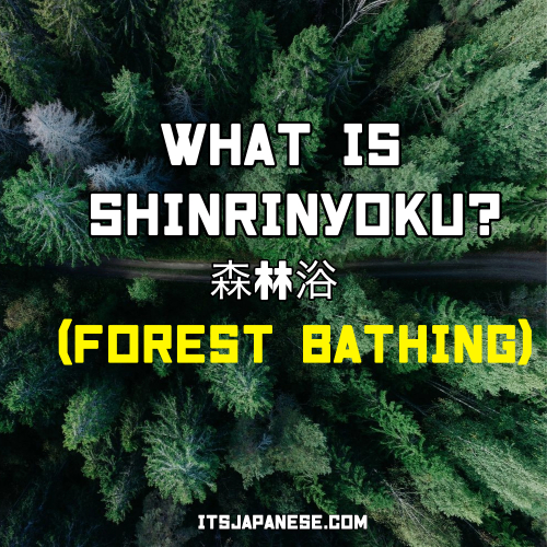 what is shinrinyoku