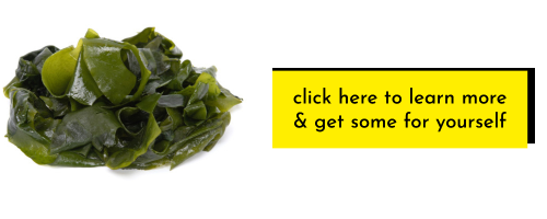 wakame